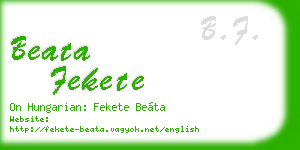 beata fekete business card